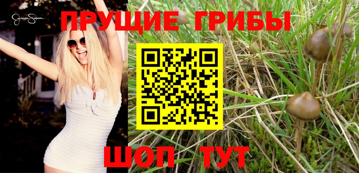 Галлюциногенные грибы Magic Shrooms Сосновый Бор
